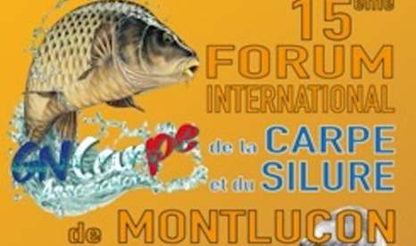PAAUW OUTDOOR au Forum international de Montluçon